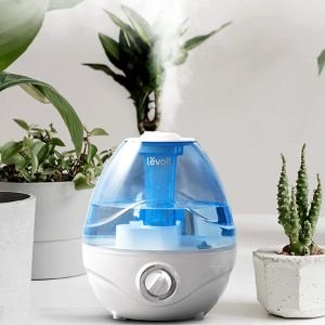 Humidifier