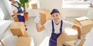 AL ZAINAB FOR CARGO PACKAGING CO.